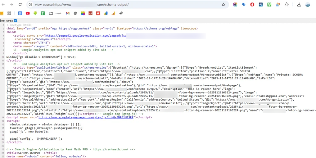 result after enabling the minify schema output